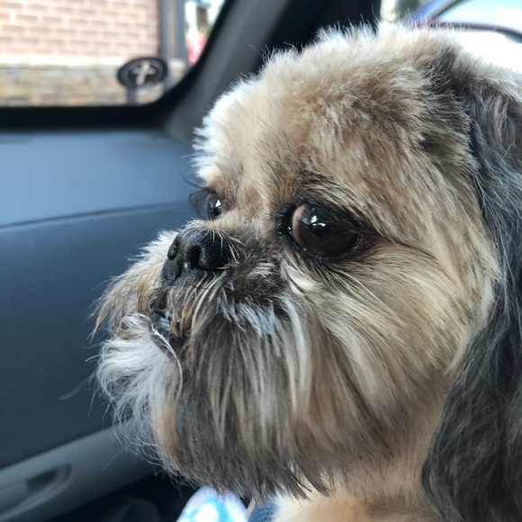 Meet your Posher, Floyd - Picture 11 of 15